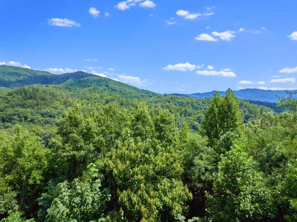 Вилла A Majestic View III Таунсенд Экстерьер фото